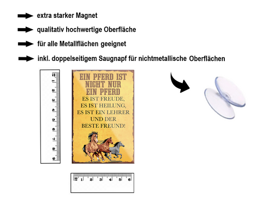 Magnet ''Ein Pferd ist nicht nur ein Pferd beste Freund'' 9x6x0,3cm