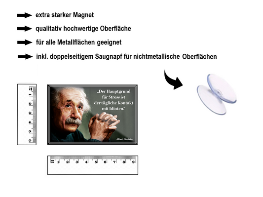 Magnet ''Der Hauptgrund für Stress (Einstein)'' 9x6x0,3cm