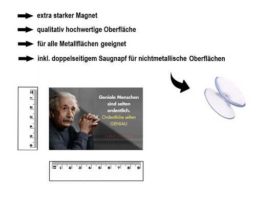Magnet ''Geniale Menschen sind selten ordentlich (Einstein)'' 9x6x0,3cm