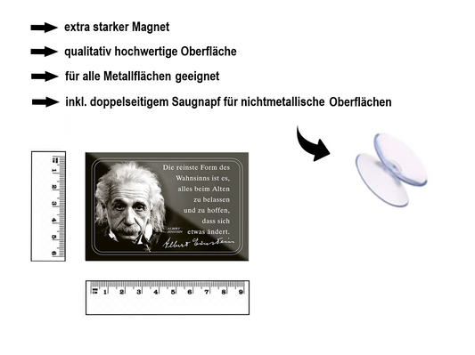 Magnet ''Die reinste Form des Wahnsinns (Einstein)'' 9x6x0,3cm