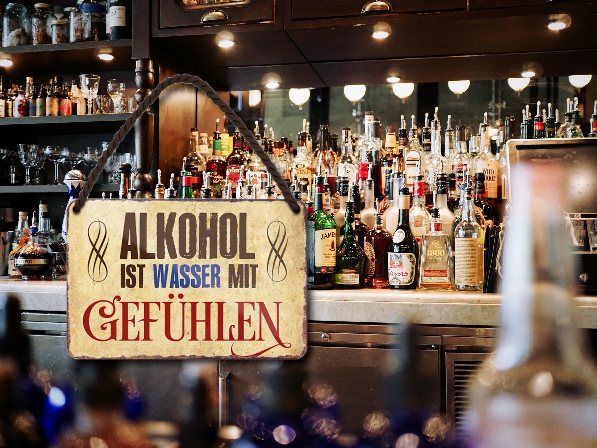 Blechschild ''Alkohol ist Wasser mit Gefühlen'' 18x12cm