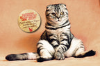 Magnet ''Erziehung bei Katzen ist ganz leicht'' 8x8x0,3cm