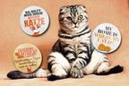 Magnet ''Erziehung bei Katzen ist ganz leicht'' 8x8x0,3cm