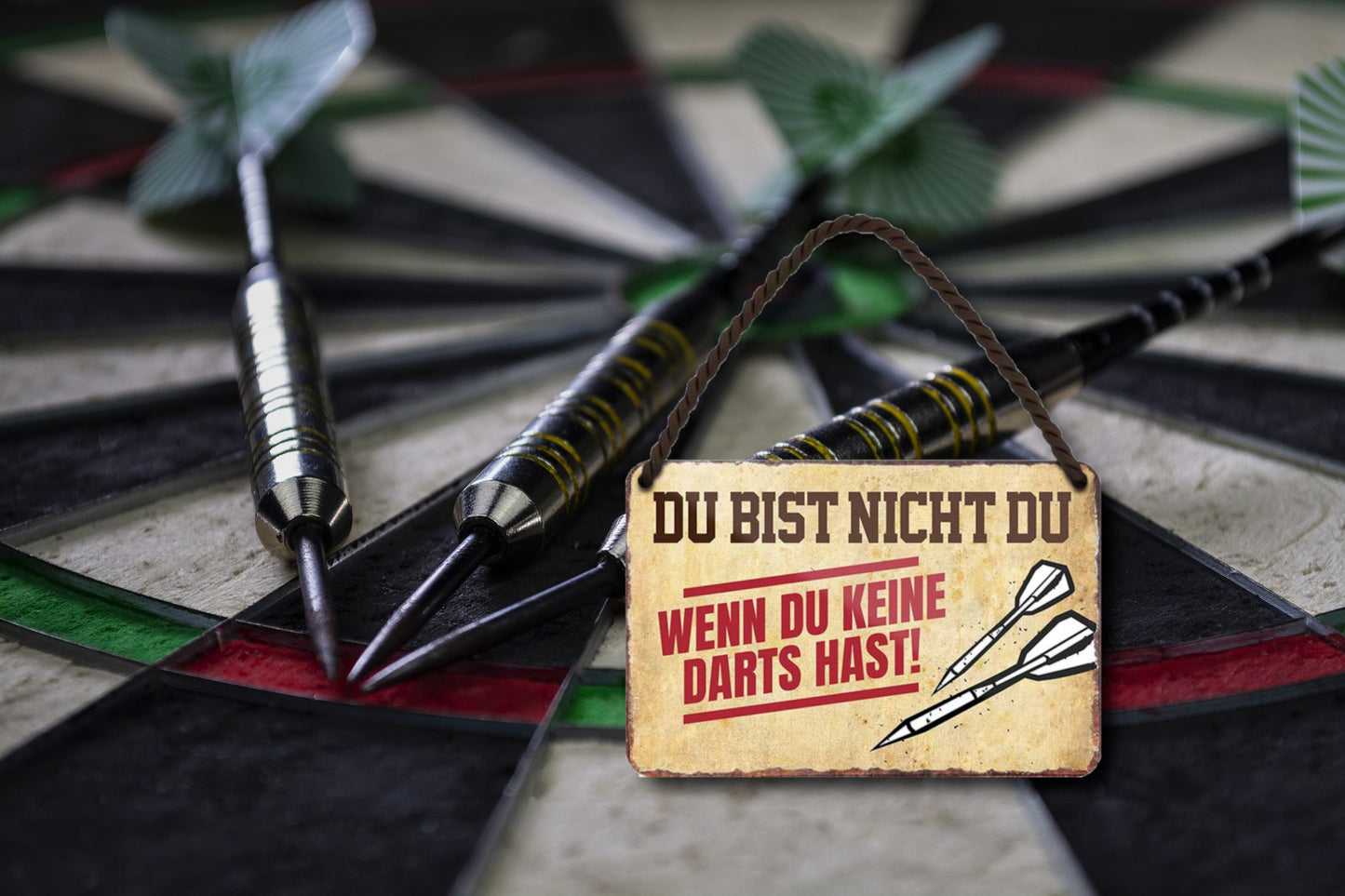 Blechschild ''Du bist nicht du, wenn du keine Darts hast'' 18x12cm