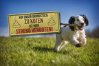 Blechschild ''Auf unser Grundstück zu koten ist hier streng verboten'' 28x12cm