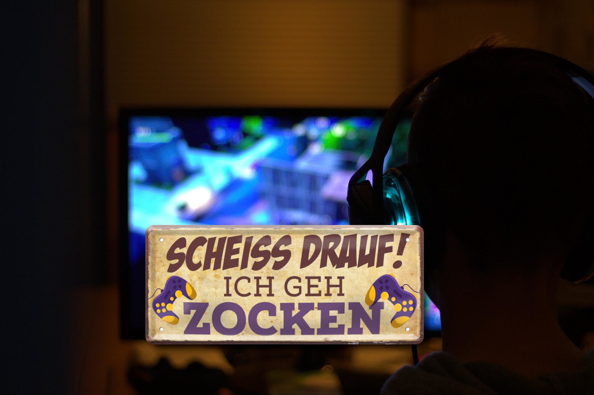 Blechschild ''Scheiss drauf! Ich geh Zocken'' 28x12cm