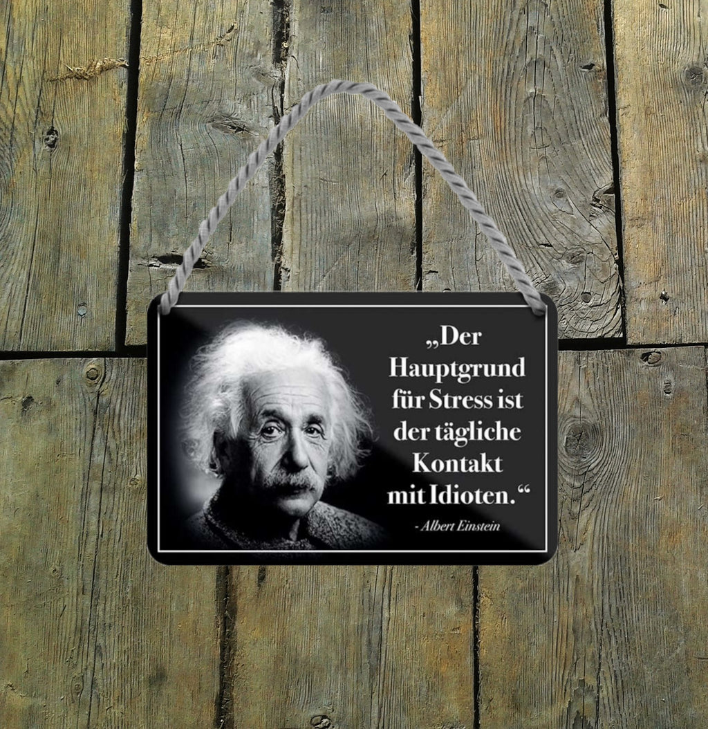 Blechschild ''Der Hauptgrund für Stress ist der.. (Einstein)'' 18x12cm