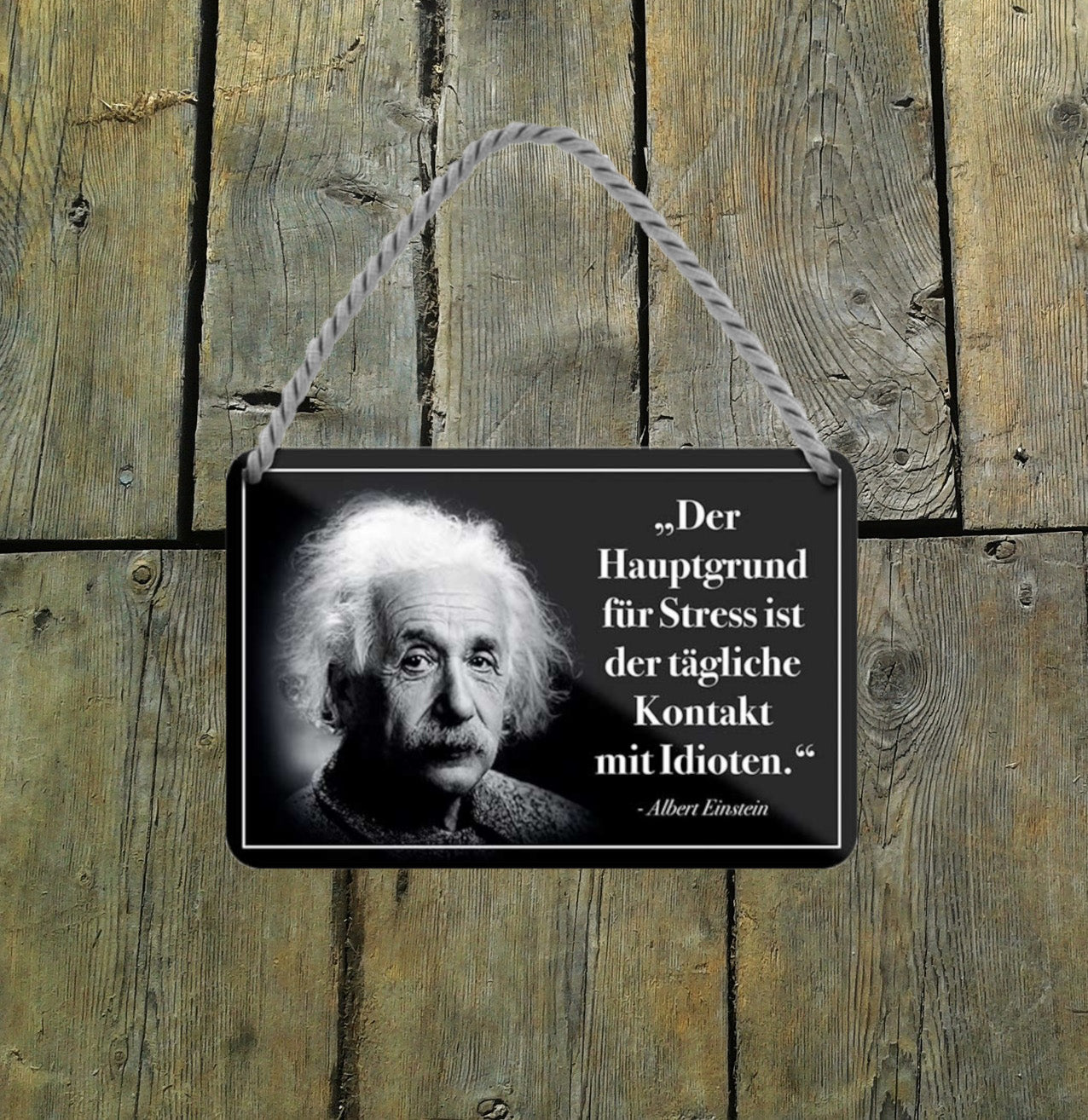 Blechschild ''Der Hauptgrund für Stress ist der.. (Einstein)'' 18x12cm
