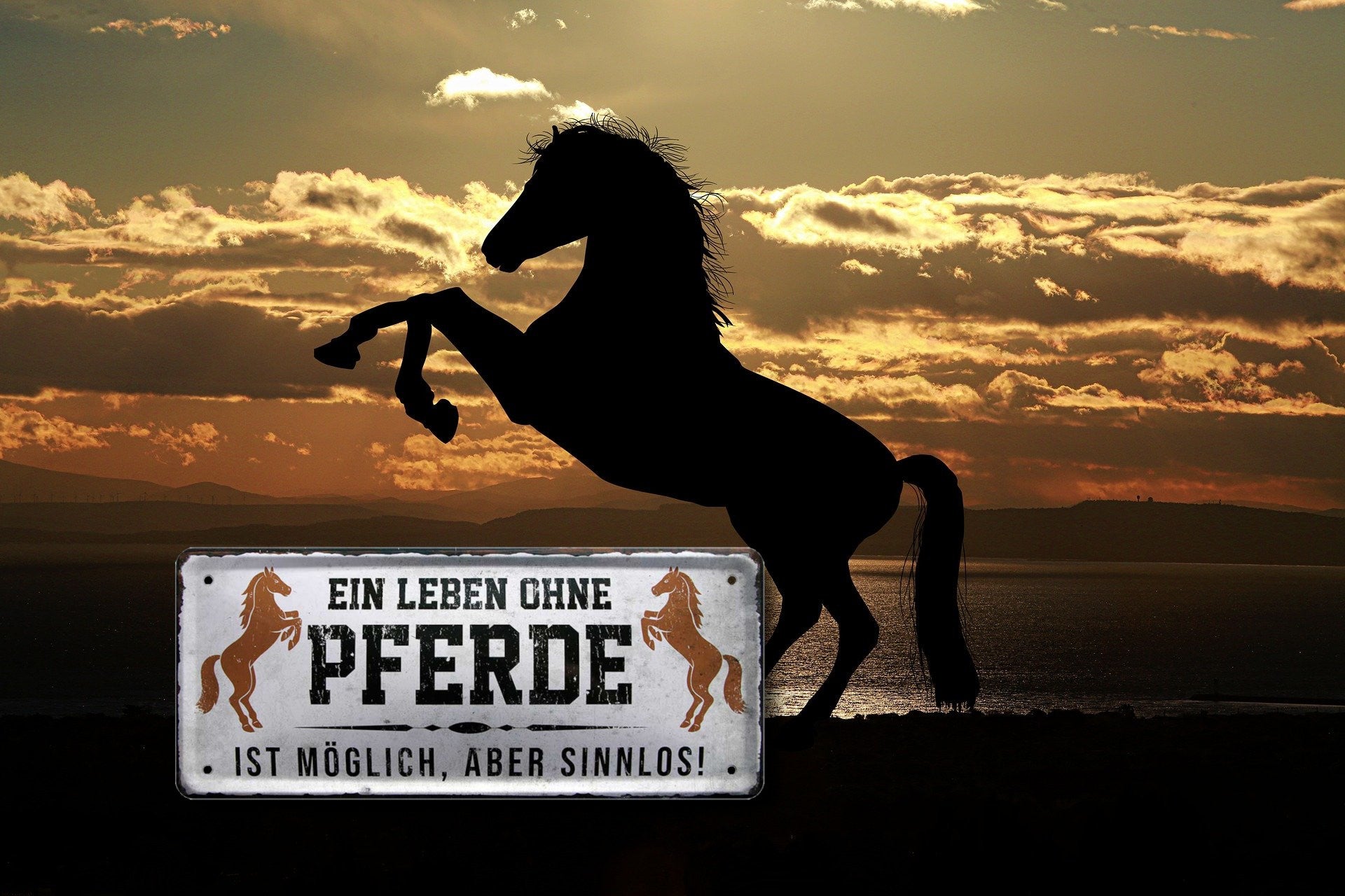 Blechschild ''Ein Leben ohne Pferde ist sinnlos'' 28x12cm