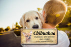 Blechschild ''Chihuahua'' 28x12cm