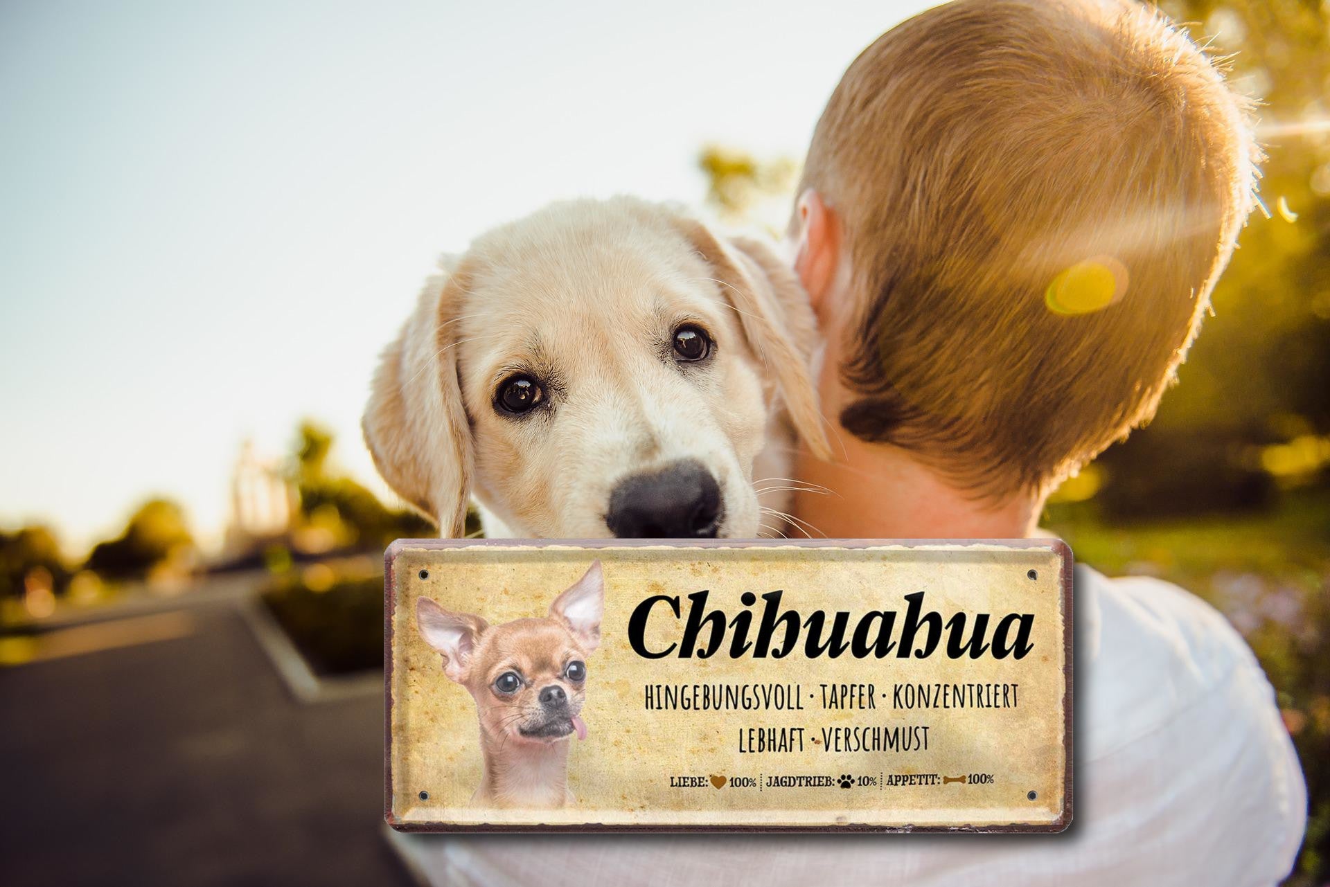 Blechschild ''Chihuahua'' 28x12cm