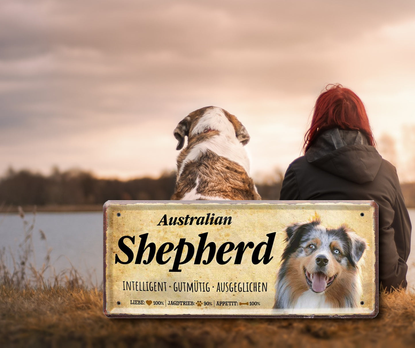 Blechschild ''Australian Shepperd'' 28x12cm
