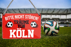 Blechschild ''Träume von Köln'' 18x12cm