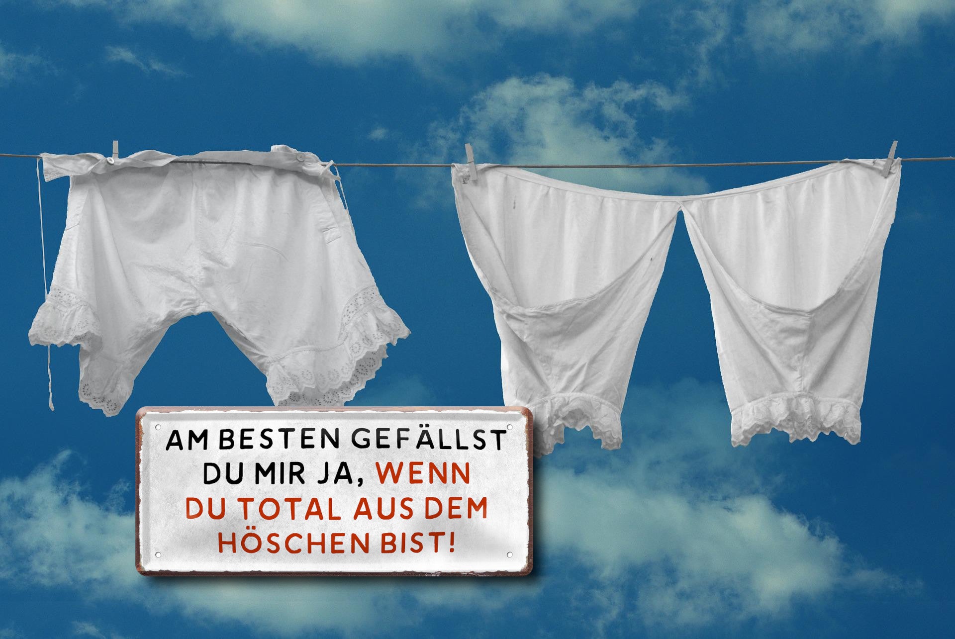 Blechschild ''Am besten gefällst du mir aus dem Höschen'' 28x12cm
