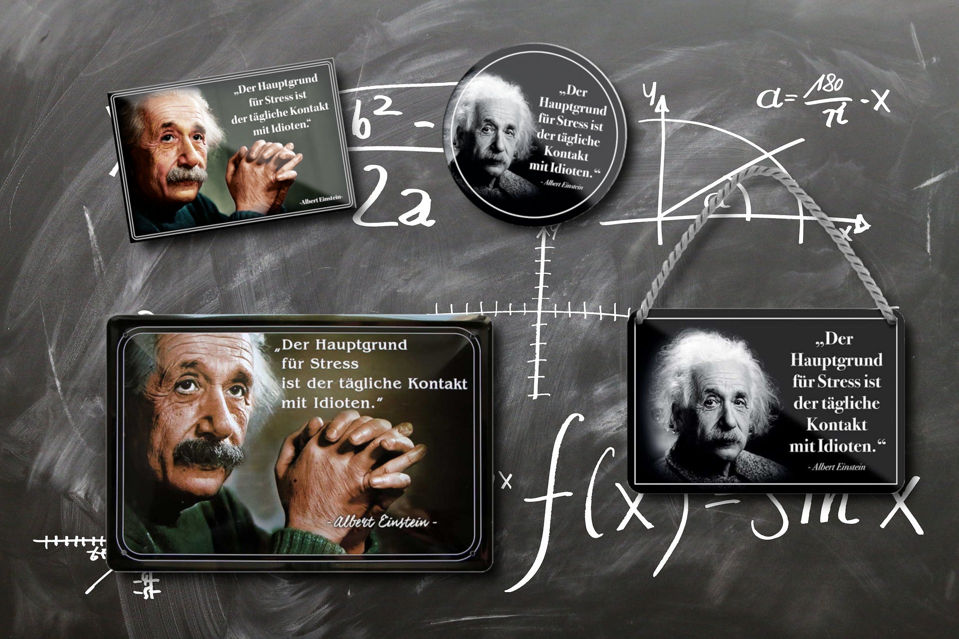 Blechschilder ''Albert Einstein 2 von 4'' 20x30cm diverse Varianten vom beliebten Physiker