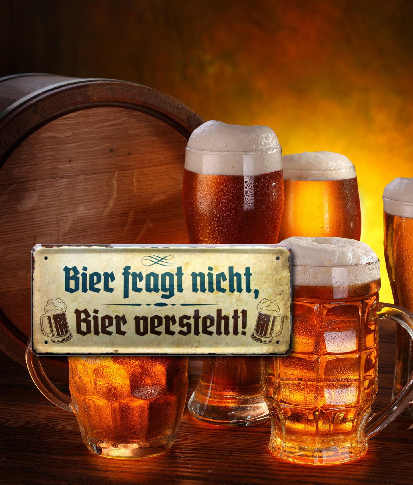 Blechschild ''Bier fragt nicht, Bier versteht'' 28x12cm