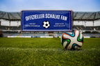 Blechschild ''Offizieller Schalke Fan'' 28x12cm