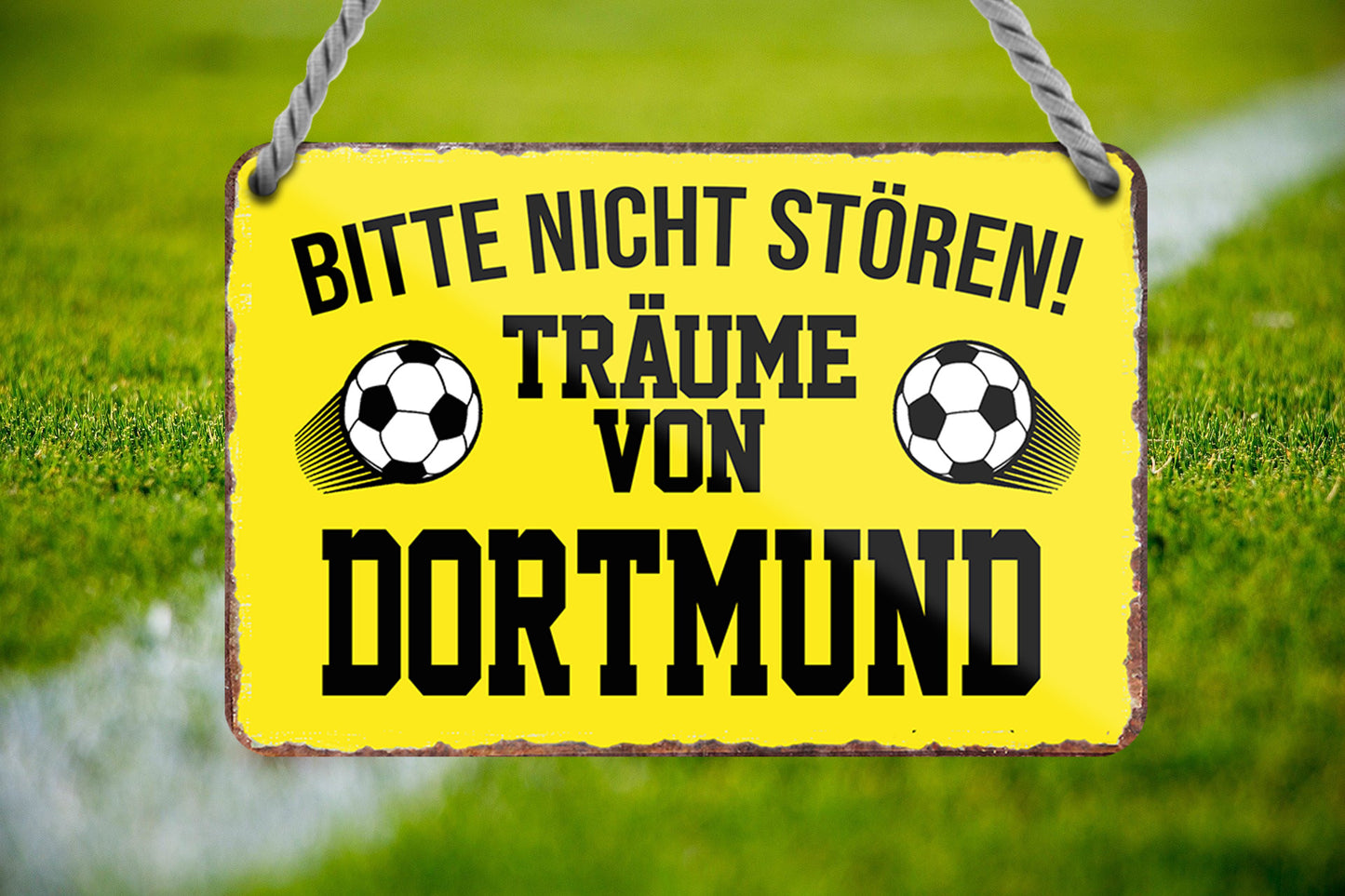 Blechschild ''Träume von Dortmund'' 18x12cm