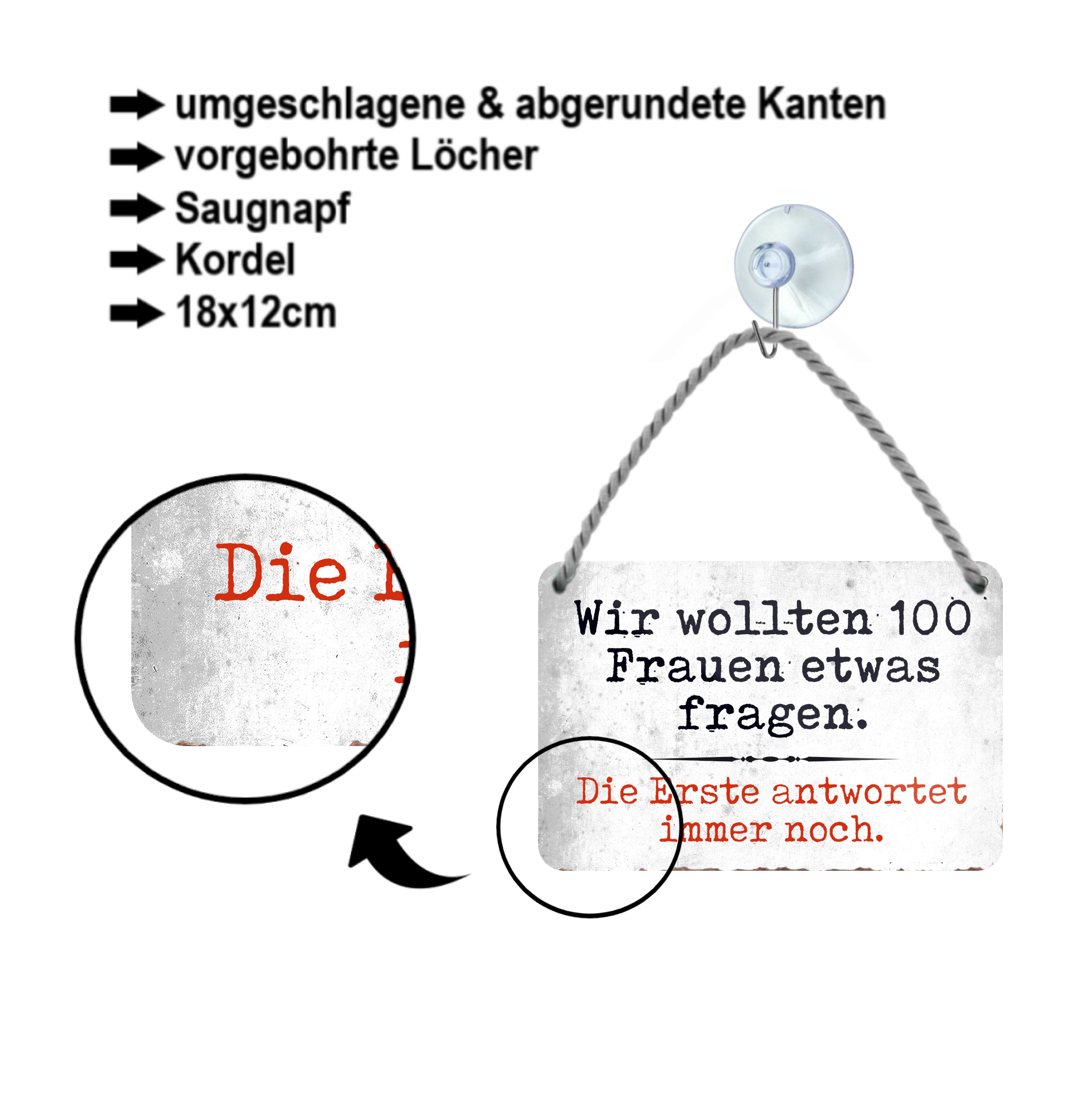Blechschild ''Wir wollten 100 Frauen etwas fragen'' 18x12cm