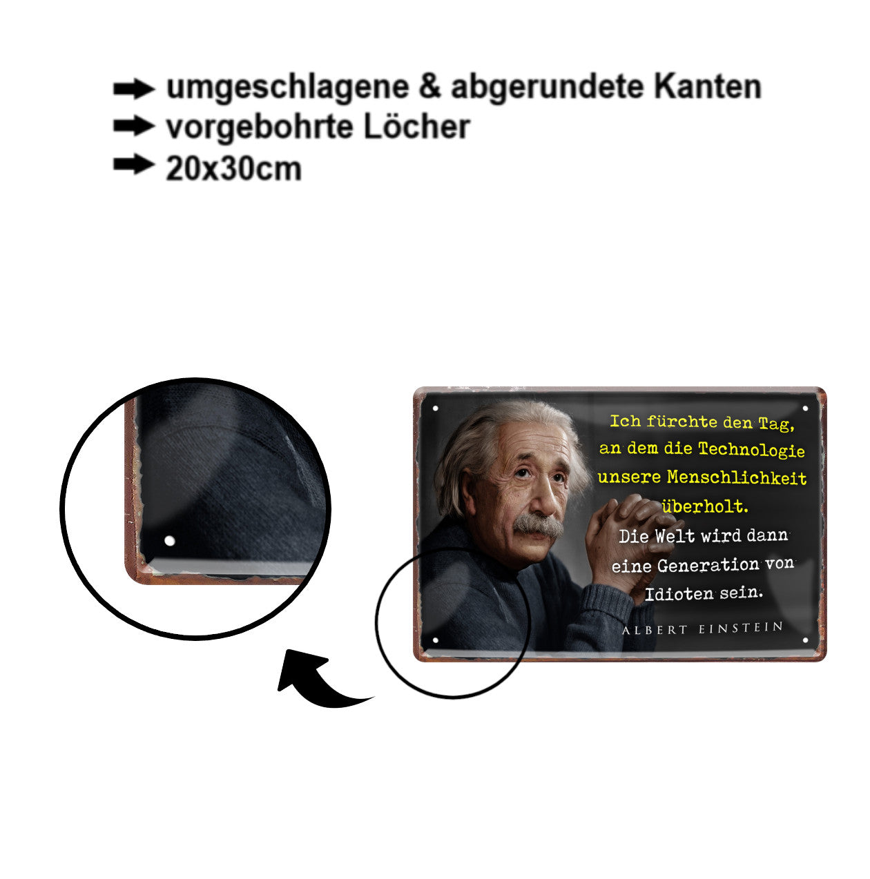 Blechschild ''Ich fürchte den Tag, an dem die Technologie (Einstein)'' 20x30cm