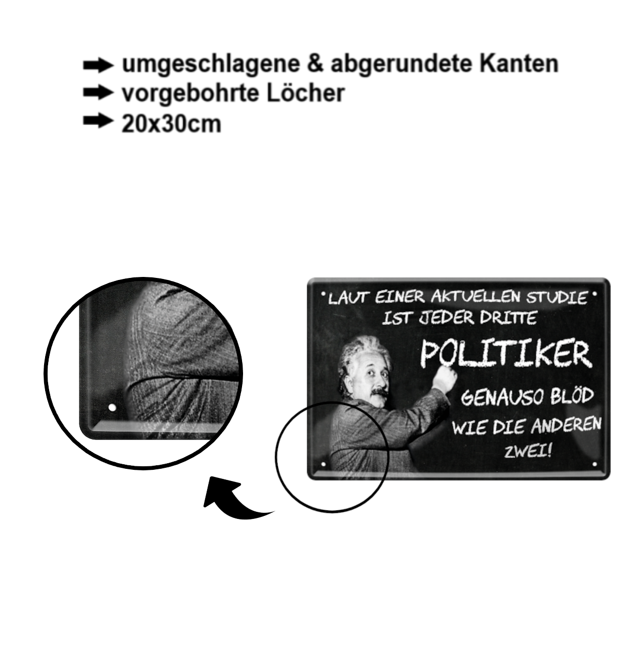 Tin sign ''According to a recent study. Politician (Einstein)'' 20x30cm