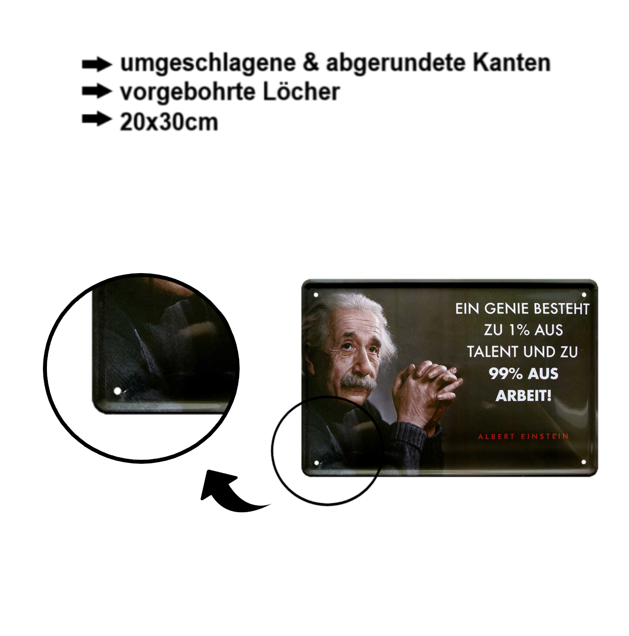 Blechschilder ''Albert Einstein 2 von 4'' 20x30cm diverse Varianten vom beliebten Physiker