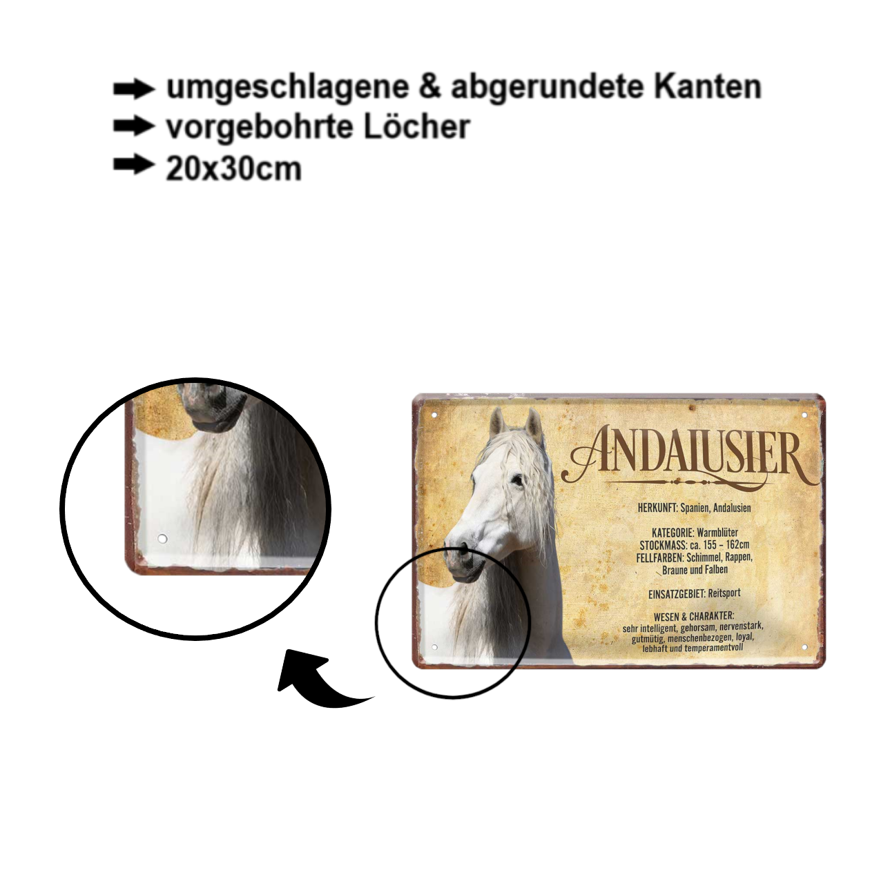Blechschild ''Andalusier'' 20x30cm