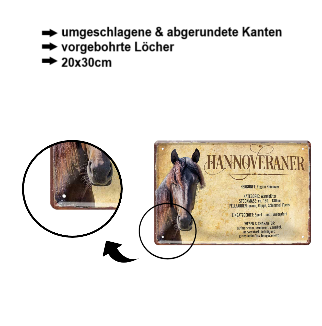 Blechschild ''Hannoveraner'' 20x30cm