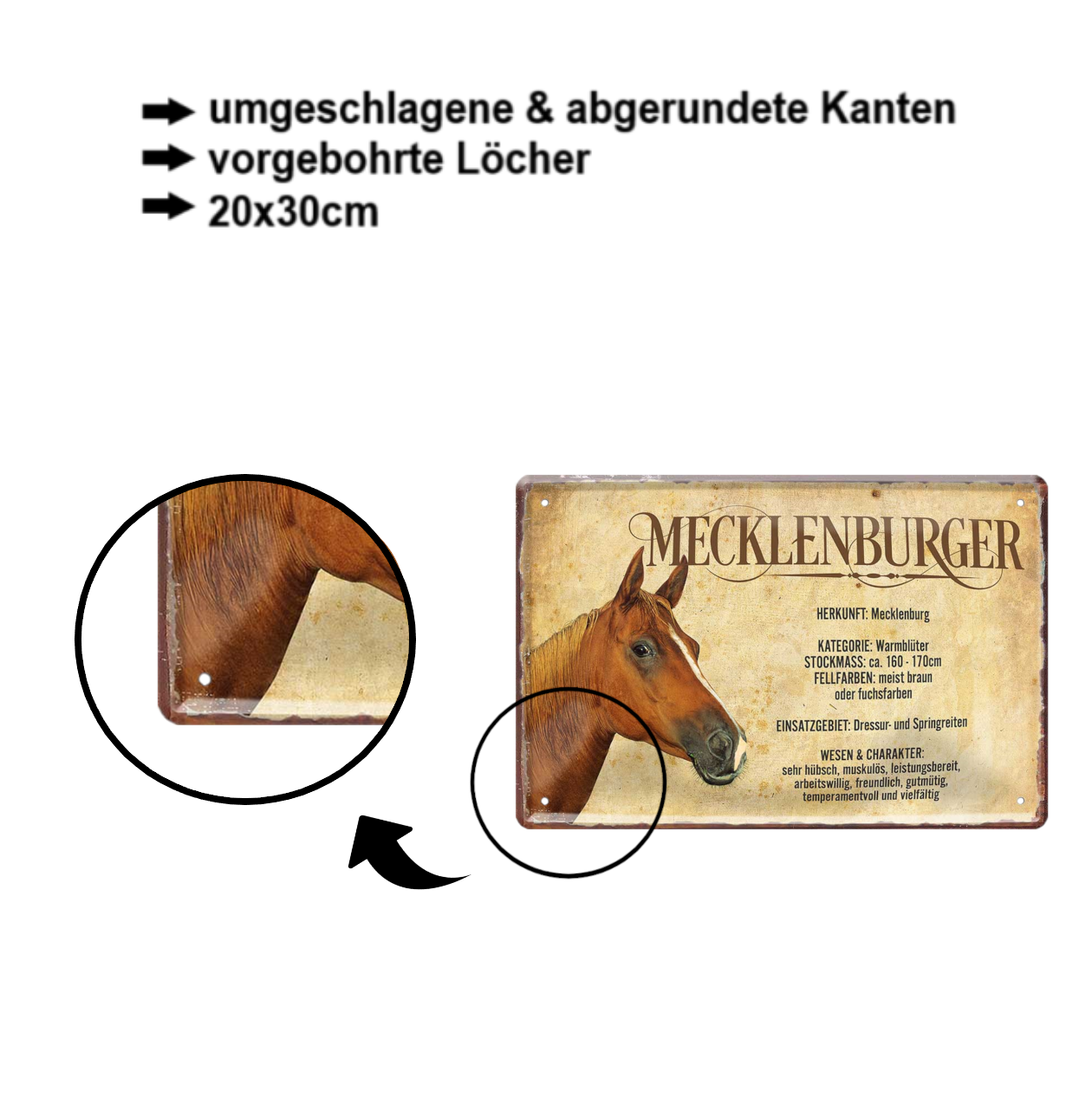 Tin sign "Mecklenburg" 20x30cm