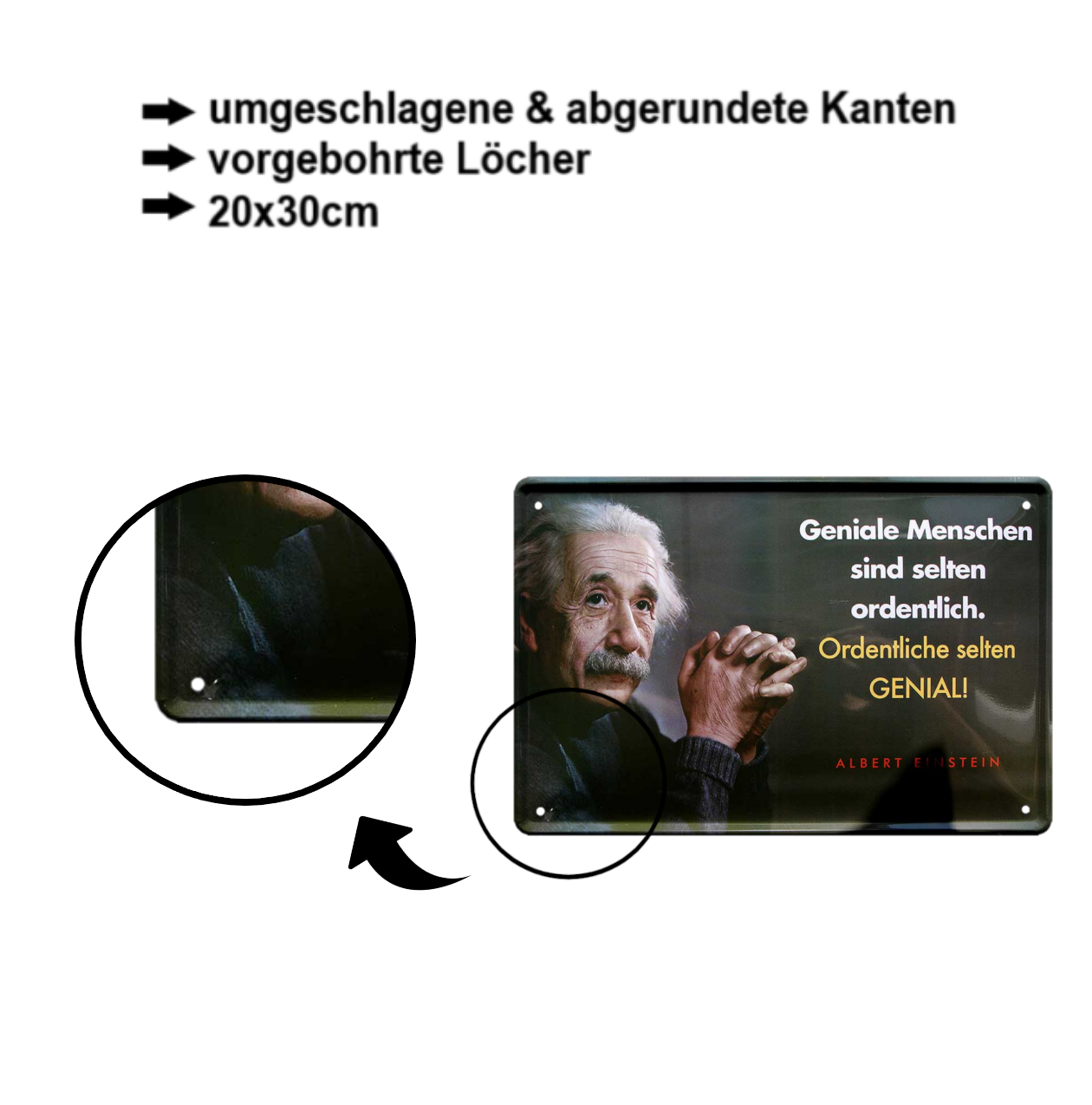 Blechschilder ''Albert Einstein 2 von 4'' 20x30cm diverse Varianten vom beliebten Physiker