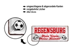 Blechschild ''Regensburg Mein Verein, meine Heimat'' 28x12cm
